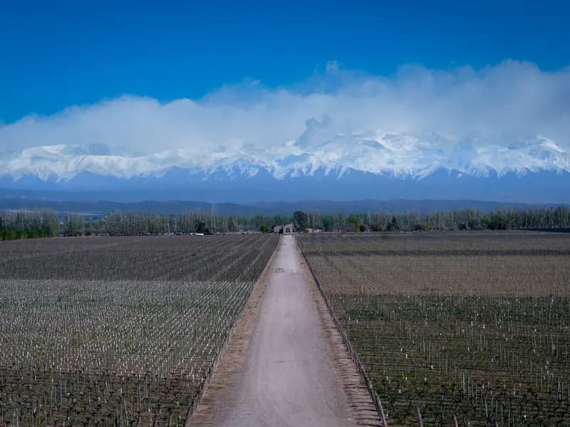 Mendoza