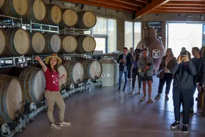 Kala guiando un tour en sala de barricas