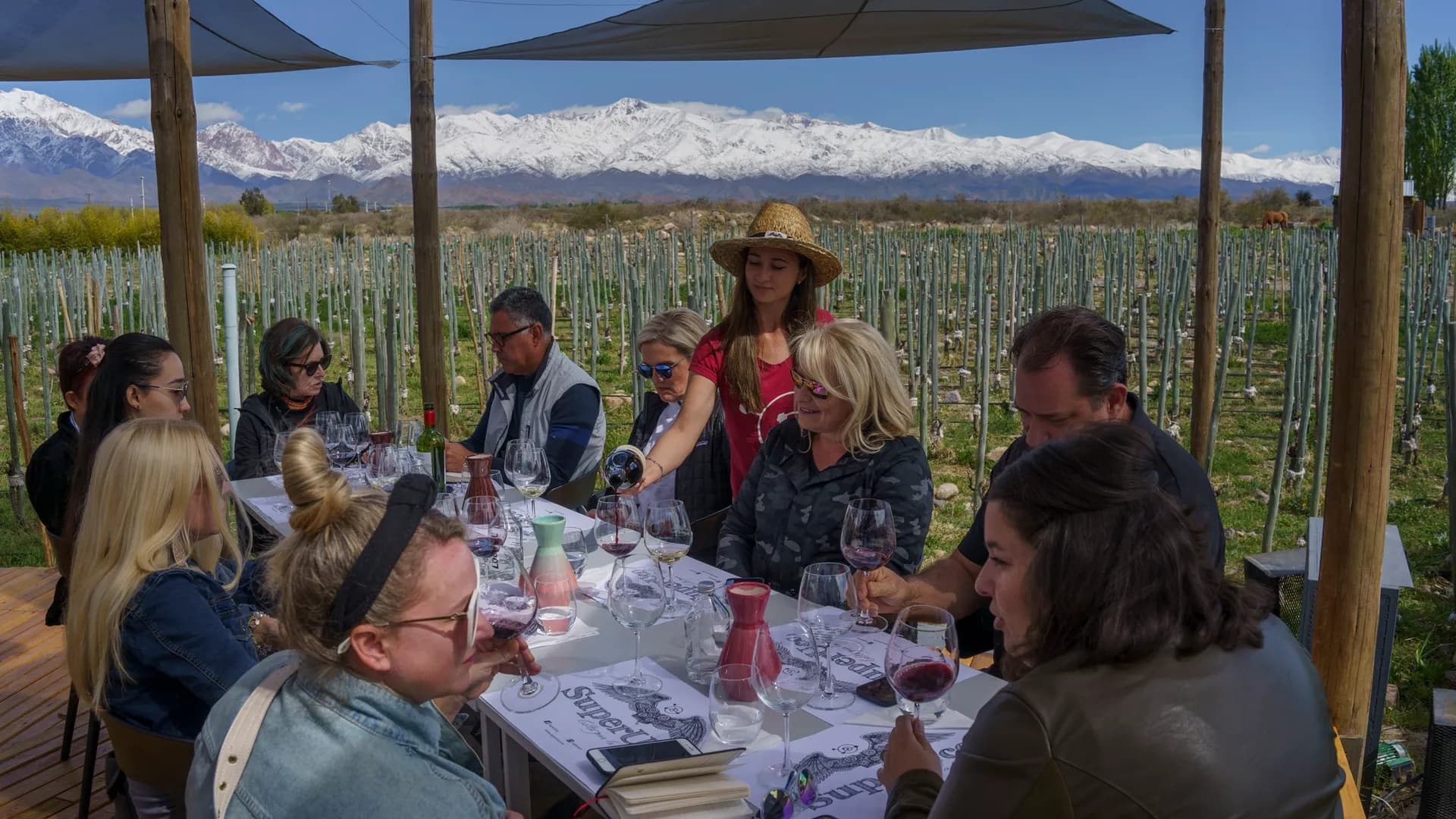 Viñedos al atardecer